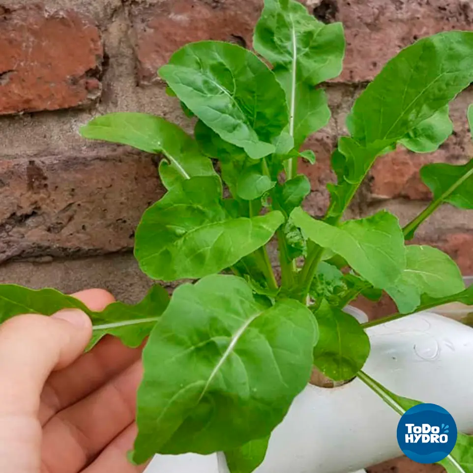 Cultivar con conciencia