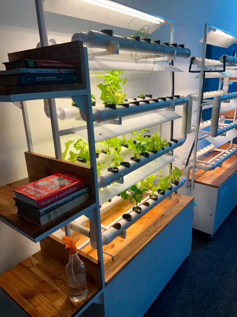 Sistemas decorativos para donar