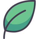 Introduction to Hydroponics