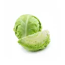 Cabbage