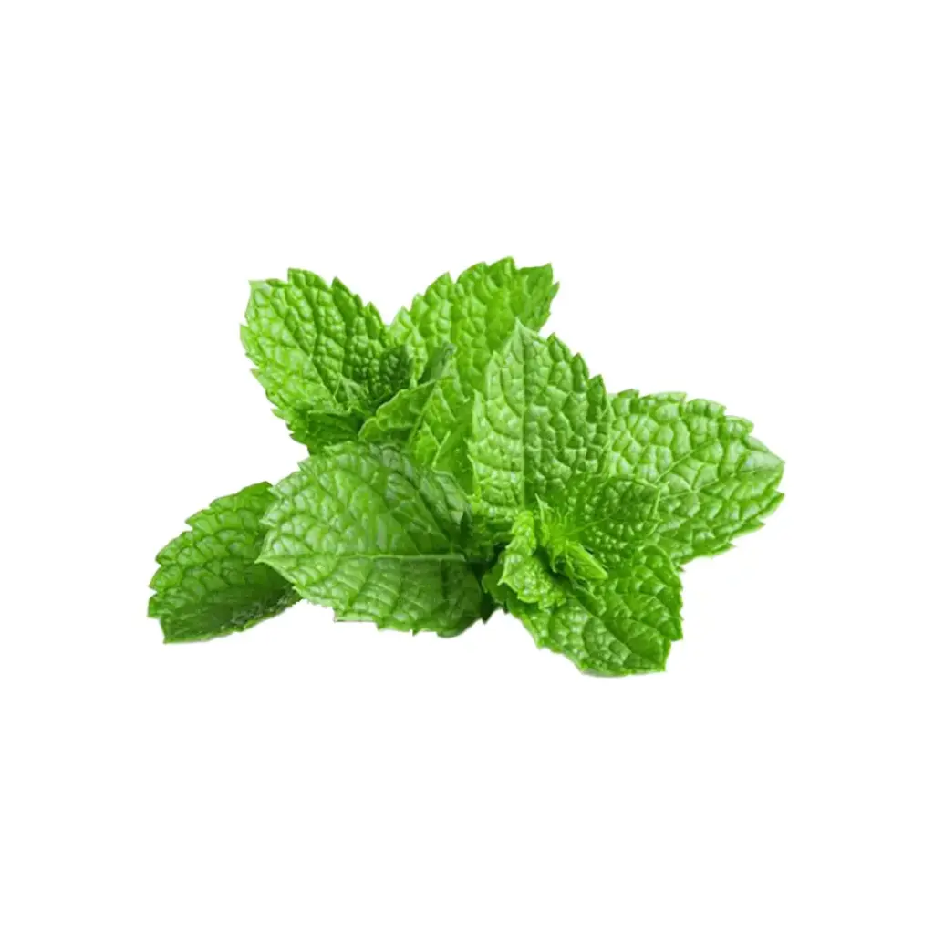 Mint (copy)