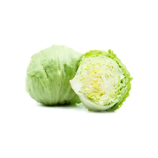 [SEED9] Lettuce Iceberg