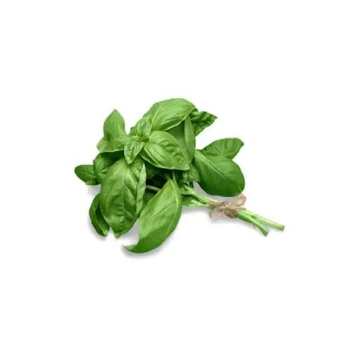 [SEED12] Basil
