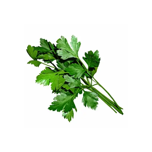 [SEED18] Parsley