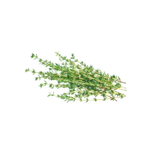 [SEED20] Thyme