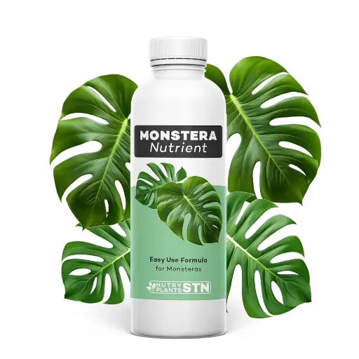 Monstera Plant Food
